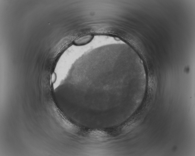 X0000115100397200912081303