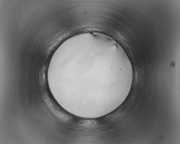 X0000115100398200912081303