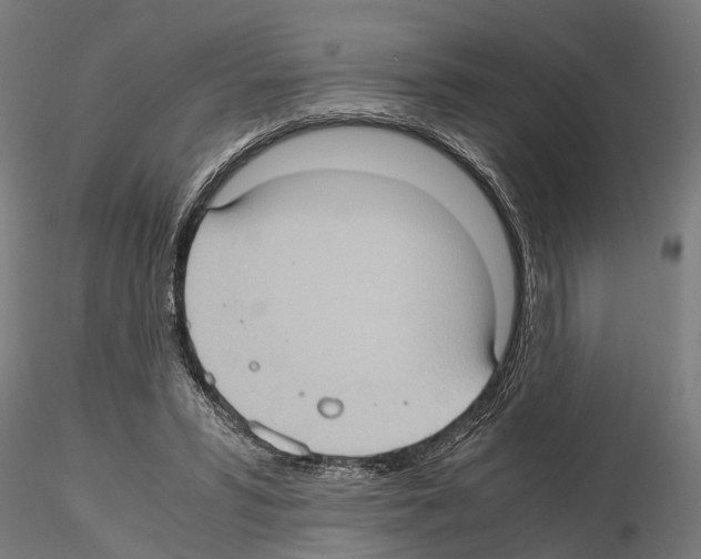 X0000115100399200912081303