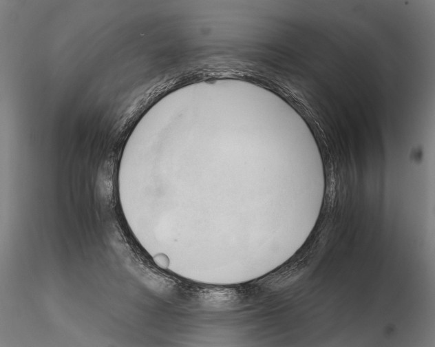 X0000115100402200912081303