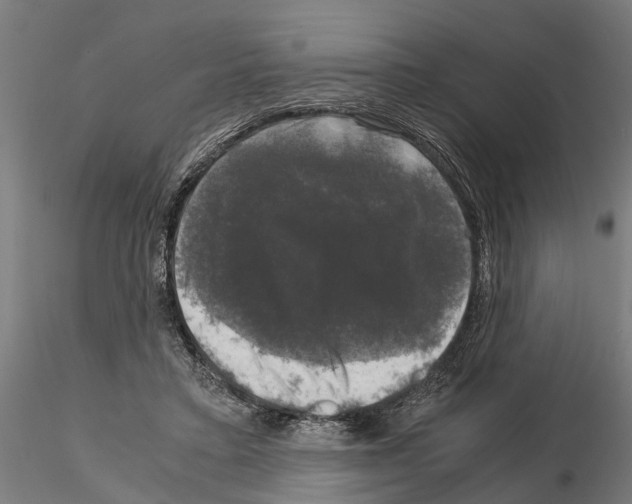 X0000115100403200912081303