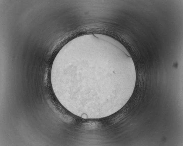 X0000115100404200912081303