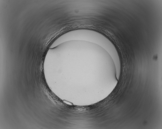 X0000115100405200912081303