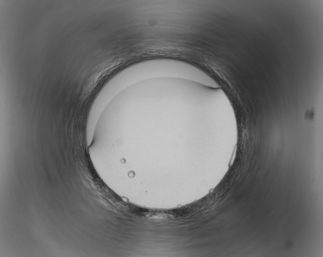 X0000115100407200912081303