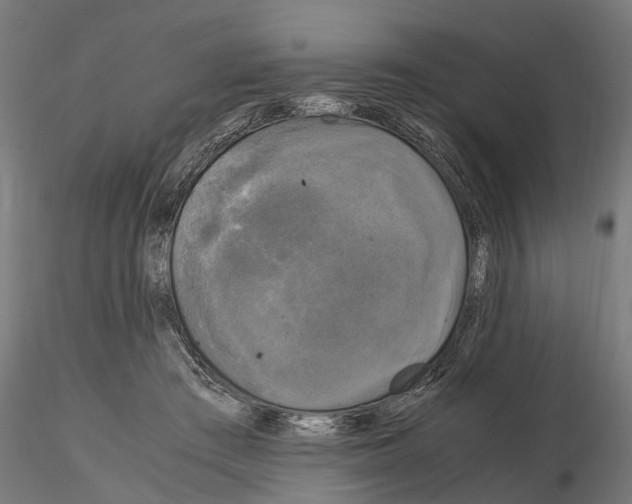 X0000115100409200912081303