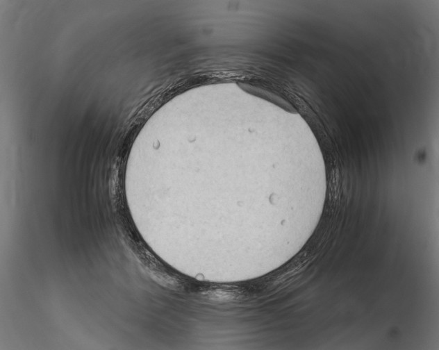 X0000115100412200912081303