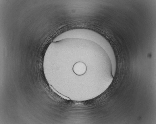 X0000115100413200912081303