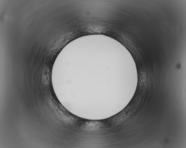 X0000115100414200912081303