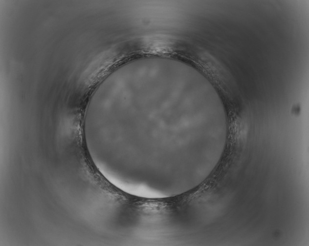 X0000115100415200912081303