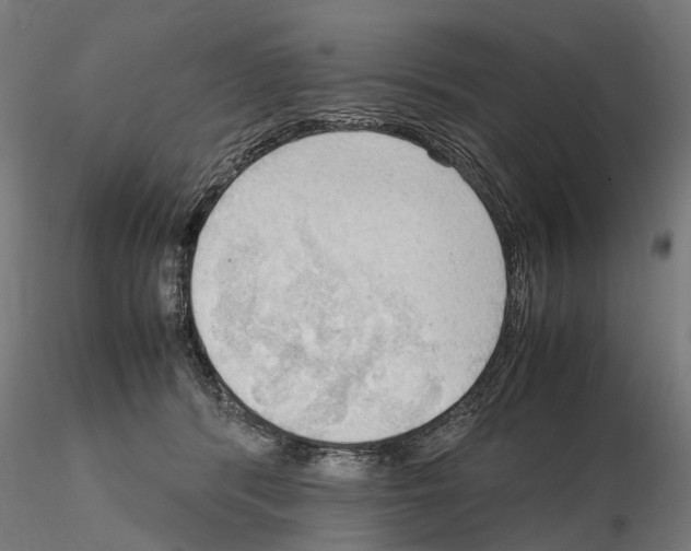 X0000115100416200912081303