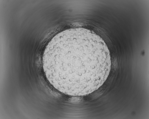 X0000115100418200912081303