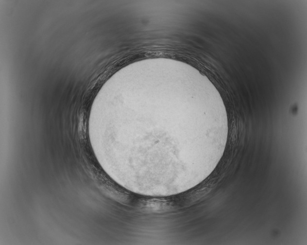 X0000115100420200912081303