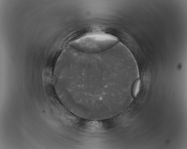 X0000115100421200912081303