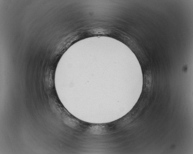 X0000115100422200912081303