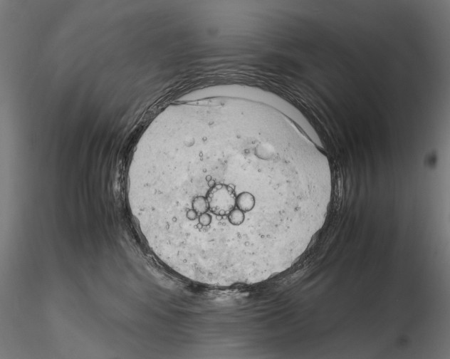 X0000115100424200912081303