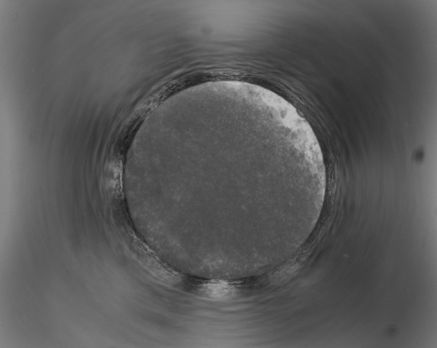 X0000115100425200912081303