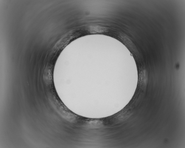 X0000115100426200912081303