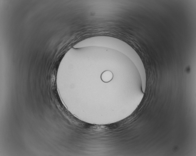 X0000115100427200912081303