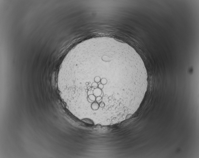 X0000115100428200912081303