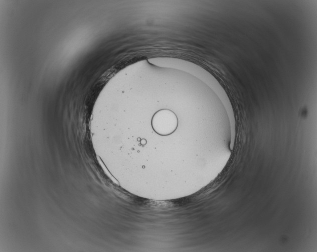 X0000115100429200912081303