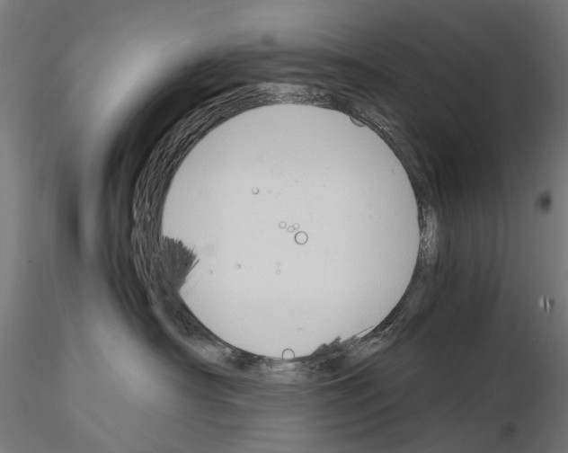 X0000115100430200912081303