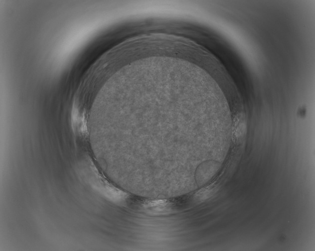 X0000115100431200912081303