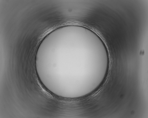 X0000115100433200912081302