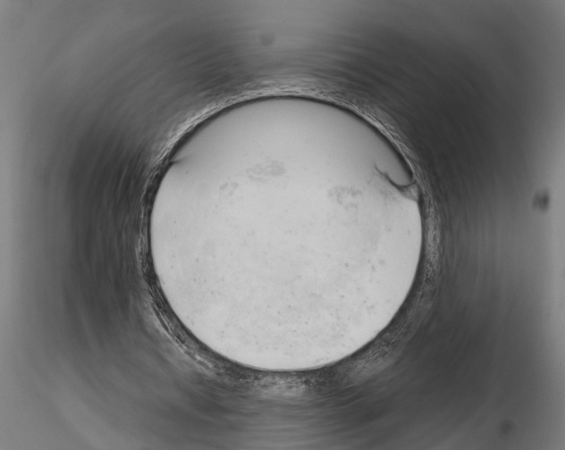 X0000115100434200912081302