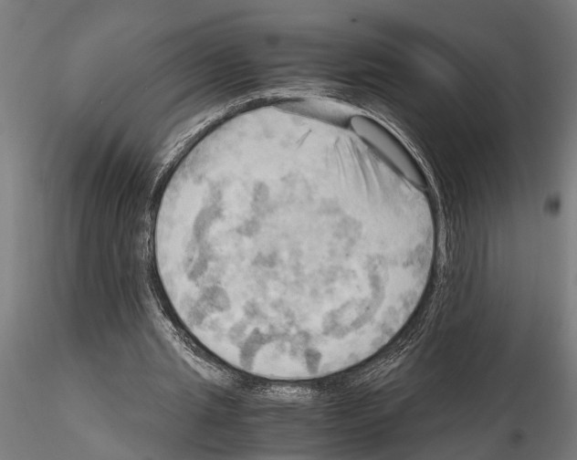 X0000115100437200912081302