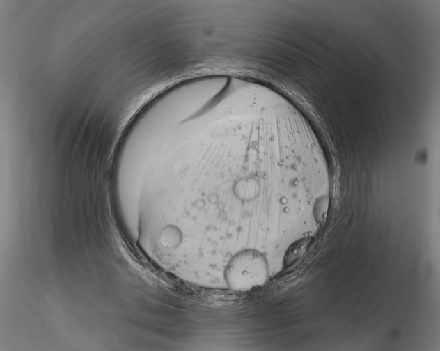 X0000115100438200912081302