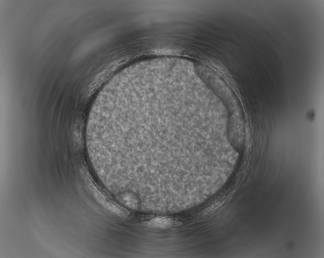 X0000115100441200912081302