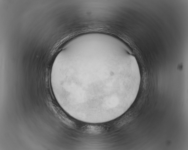 X0000115100442200912081302