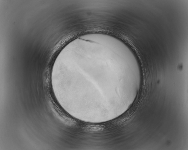 X0000115100443200912081302