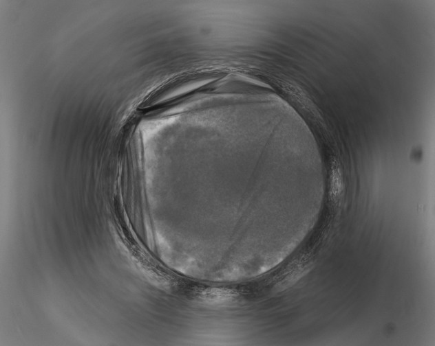 X0000115100444200912081302