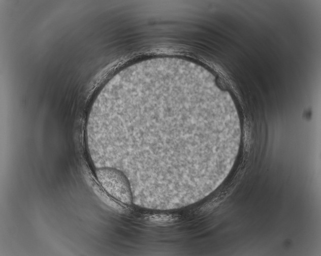 X0000115100445200912081302