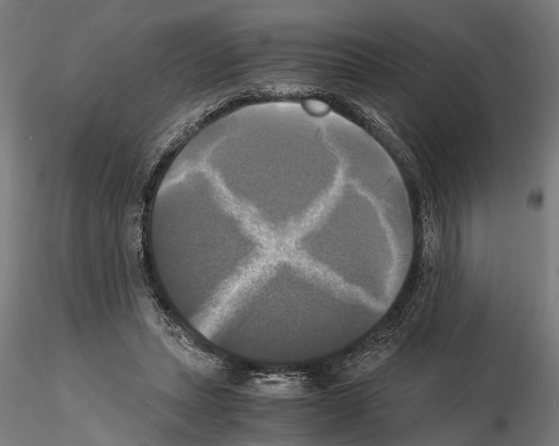 X0000115100447200912081302