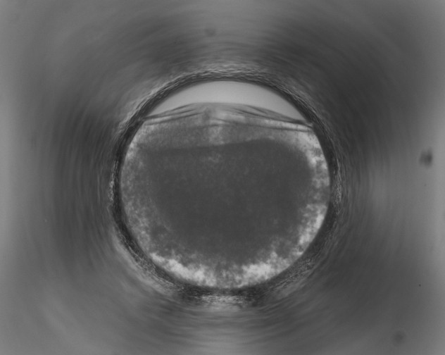 X0000115100448200912081302