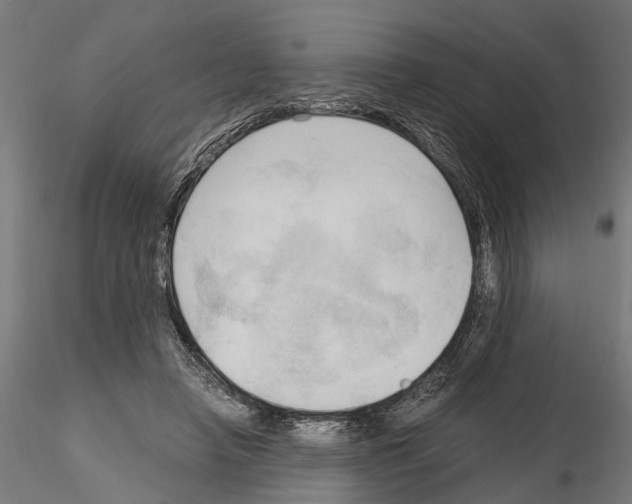 X0000115100450200912081302