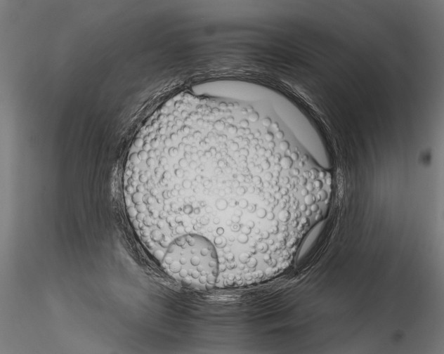 X0000115100451200912081302