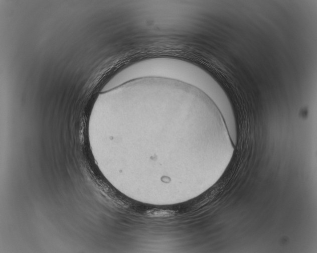 X0000115100452200912081302