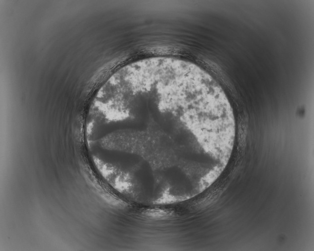 X0000115100453200912081302