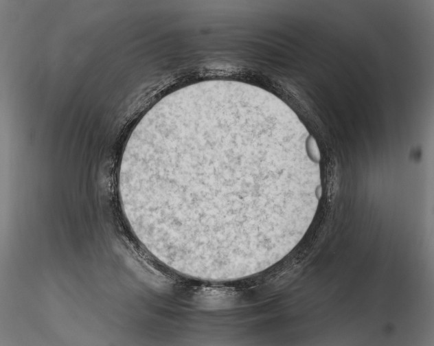 X0000115100455200912081302