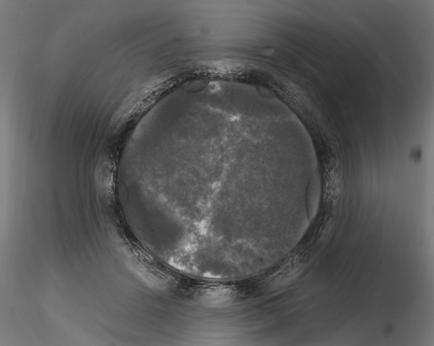 X0000115100456200912081302