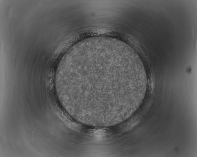 X0000115100462200912081302