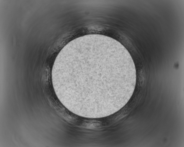 X0000115100463200912081302