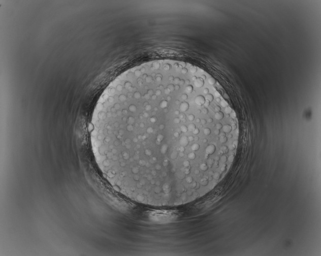 X0000115100465200912081303