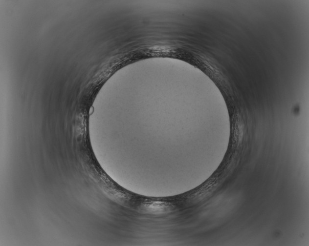 X0000115100467200912081303