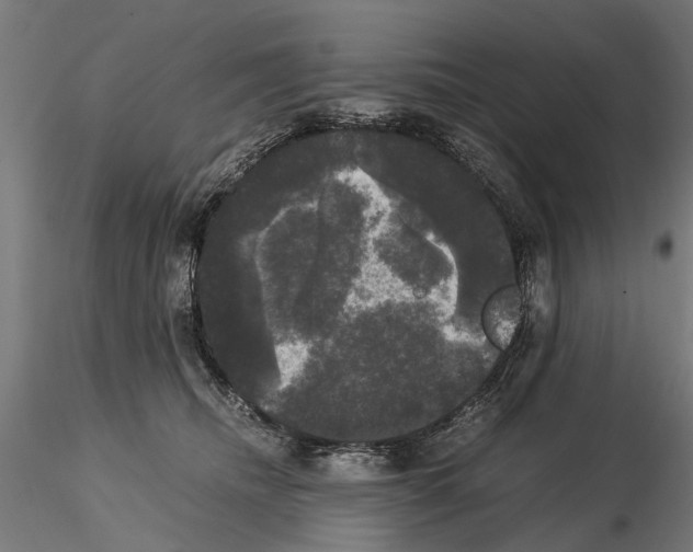 X0000115100468200912081303