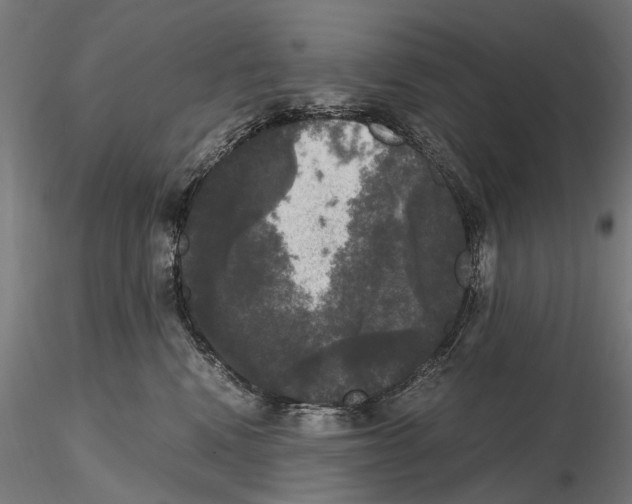 X0000115100472200912081303