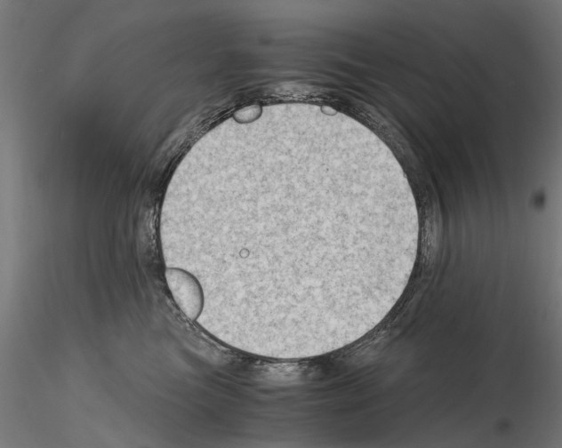 X0000115100473200912081303